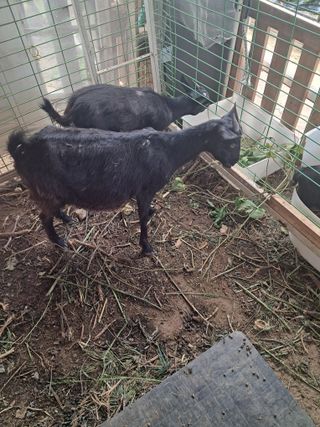 전희분님의 자유주제 · 자유게시판 작성글 사진