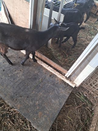 전희분님의 자유주제 · 자유게시판 작성글 사진