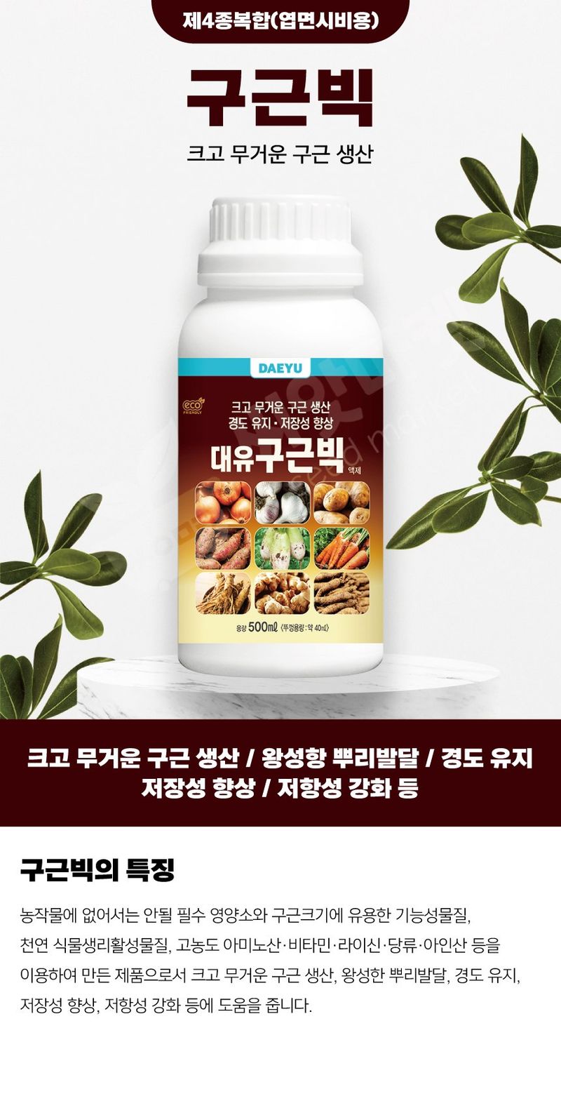 장터 상품 [대유 구근빅 500ml 마늘 양파 감자 고구마 당근 구근 비대제 ] 썸네일