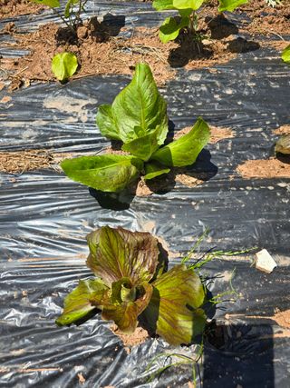 신하근님의 자유주제 · 자유게시판 작성글 사진