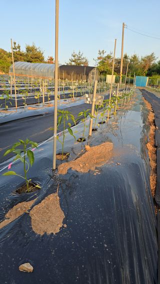 홍성부님의 자유주제 · 사진전 작성글 사진