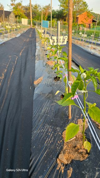 홍성부님의 자유주제 · 사진전 작성글 사진