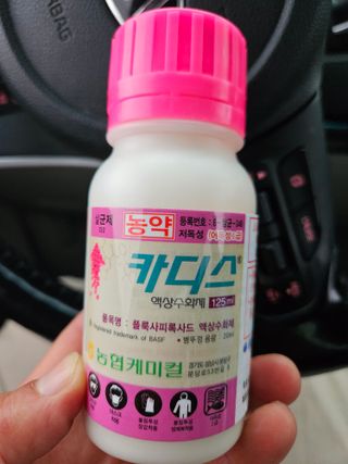 배필이님의 자유주제 · 자유게시판 작성글 사진