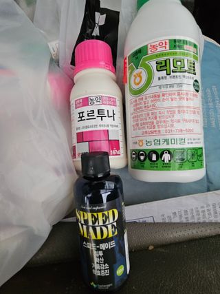 배필이님의 자유주제 · 자유게시판 작성글 사진