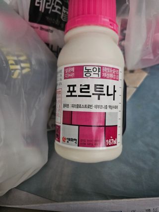 배필이님의 자유주제 · 자유게시판 작성글 사진