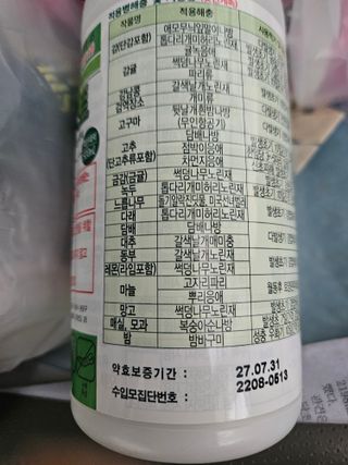 배필이님의 자유주제 · 자유게시판 작성글 사진