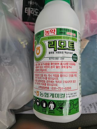 배필이님의 자유주제 · 자유게시판 작성글 사진