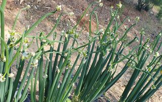 인생은 소풍처럼~님의 작성글 사진