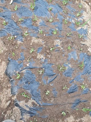 인생은 소풍처럼~님의 작성글 사진