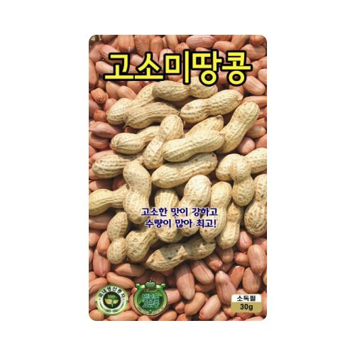 장터 상품 [[KS종묘] 고소미땅콩 씨앗종자 30g] 썸네일