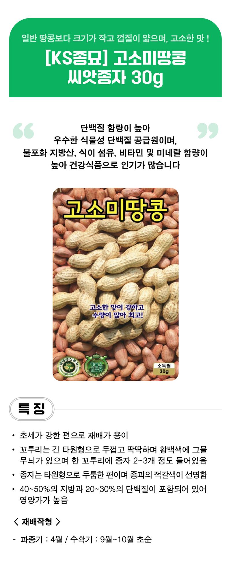 팜모닝 상점님의 장터 판매 상품 [[KS종묘] 고소미땅콩 씨앗종자 30g] 첨부 사진