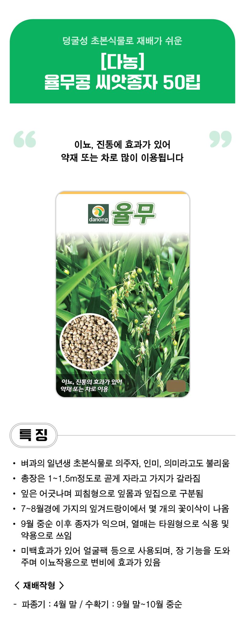 팜모닝 상점님의 장터 판매 상품 [[다농] 율무콩 씨앗종자 50립] 첨부 사진