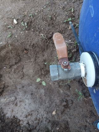 김순향님의 자유주제 · 자유게시판 작성글 사진