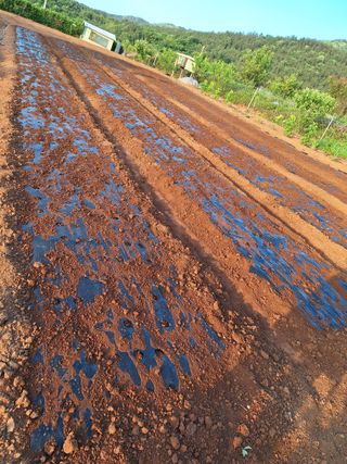 김은숙님의 팜이웃과 출근/퇴근 같이해요! · 참여글 작성글 사진
