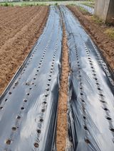 태추님의 팜이웃과 출근/퇴근 같이해요!·참여글 작성글 사진