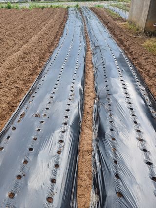 태추님의 팜이웃과 출근/퇴근 같이해요! · 참여글 작성글 사진