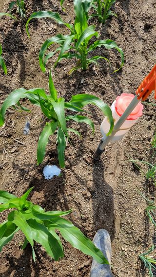 최언봉님의 자유주제 · 자유게시판 작성글 사진