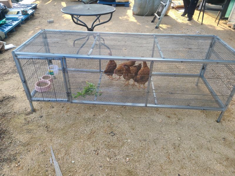 봉주르님의 장터 판매 상품 [조립식 닭장,토끼장 팝니다 ] 첨부 사진