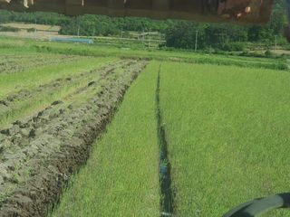손지종회원님의 팜이웃과 출근/퇴근 같이해요! · 참여글 작성글 사진