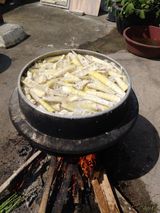 팜모닝 · 게시글 이미지