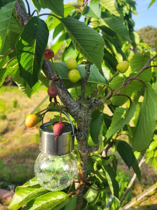 알 수 없음님의 농사, 무엇이든 물어보세요! · 참여글 작성글 사진