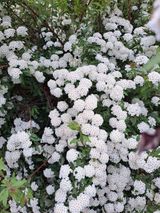 팜모닝 팜이웃과 출근/퇴근 같이해요!·참여글 게시글 이미지