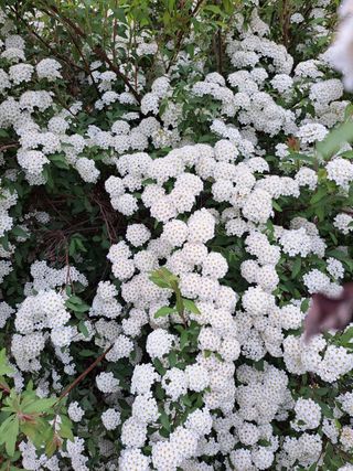 경선님의 팜이웃과 출근/퇴근 같이해요! · 참여글 작성글 사진