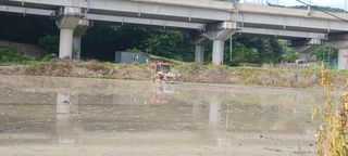 노고산농부님의 벼 · 영농일지 작성글 사진