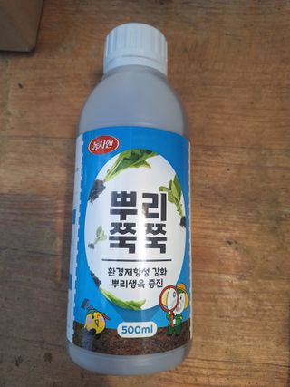 로즈마리님의 자유주제 · 자유게시판 작성글 사진