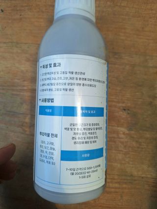 로즈마리님의 자유주제 · 자유게시판 작성글 사진