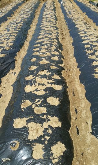 정보센터님의 기타작물 · 자유게시판 작성글 사진