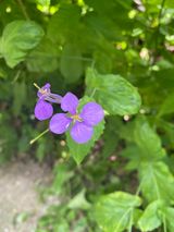 팜모닝 자유주제·사진전 게시글 이미지