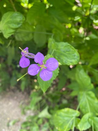 임동명님의 자유주제 · 사진전 작성글 사진