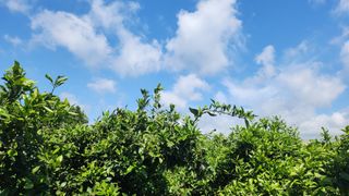 김형철님의 팜이웃과 출근/퇴근 같이해요!·참여글 작성글 사진