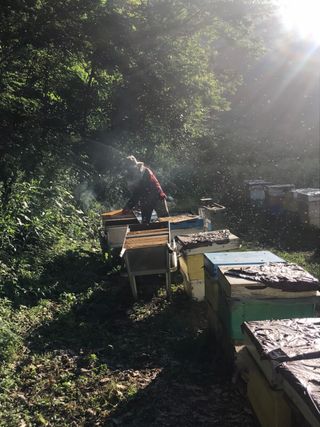 유미경님의 작성글 사진