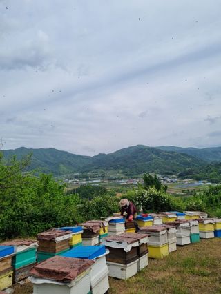 유미경님의 작성글 사진