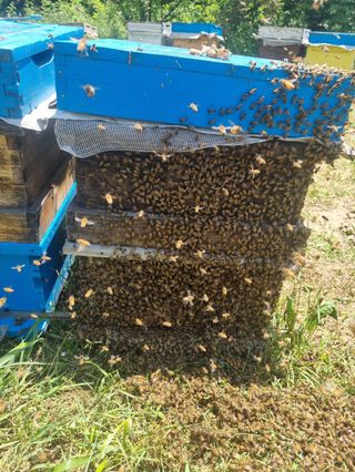 유미경님의 작성글 사진