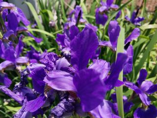 경희아짐님의 자유주제 · 자유게시판 작성글 사진