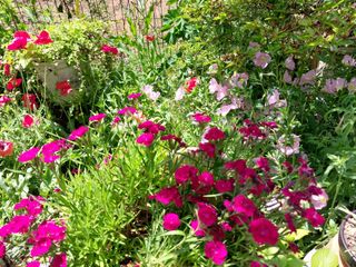 경희아짐님의 자유주제 · 자유게시판 작성글 사진