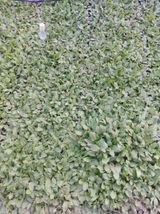 팜모닝 자유주제·칭찬해요 게시글 이미지