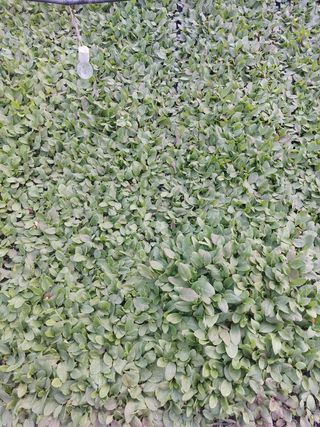 이흥희님의 자유주제 · 칭찬해요 작성글 사진