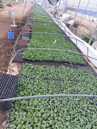 이흥희님의 자유주제 · 칭찬해요 작성글 사진