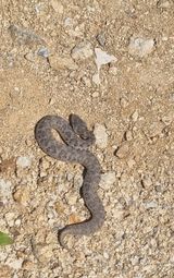 팜모닝 자유주제·자유게시판 게시글 이미지