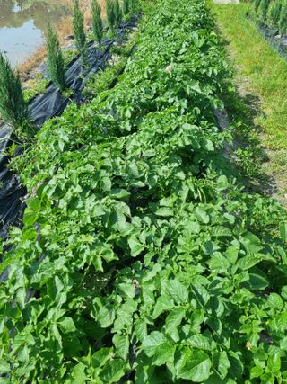 연산나무농장님의 자유주제 · 자유게시판 작성글 사진