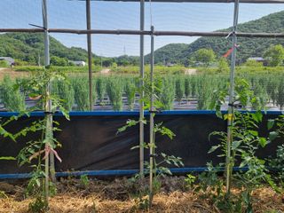 연산나무농장님의 자유주제 · 자유게시판 작성글 사진