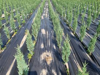 연산나무농장님의 자유주제 · 자유게시판 작성글 사진