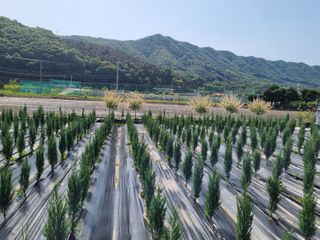 연산나무농장님의 자유주제 · 자유게시판 작성글 사진