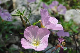 관우성님의 자유주제 · 자유게시판 작성글 사진
