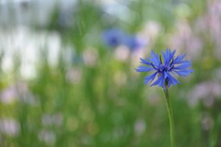 관우성님의 자유주제 · 자유게시판 작성글 사진