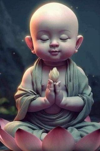 관우성님의 자유주제 · 자유게시판 작성글 사진